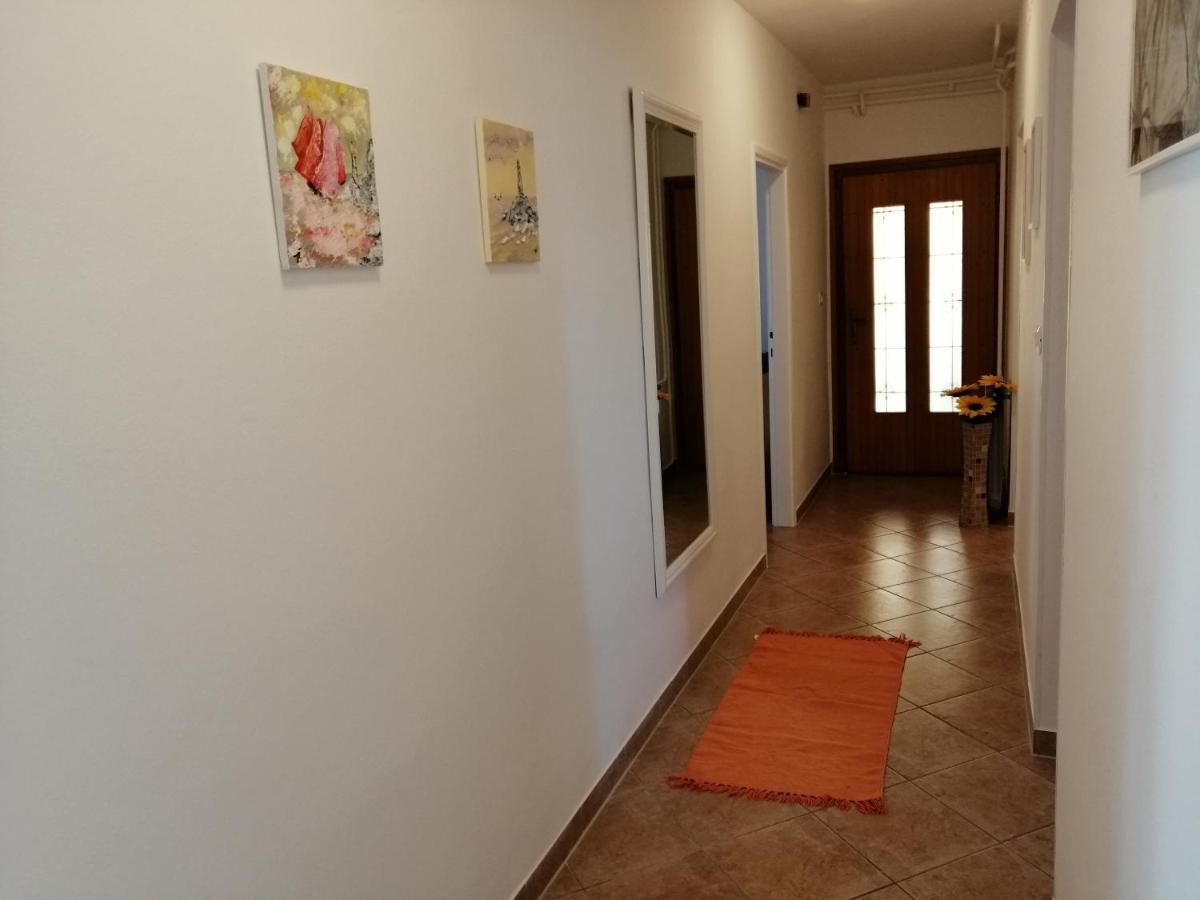 Apartmani Darko ロヴィニ エクステリア 写真