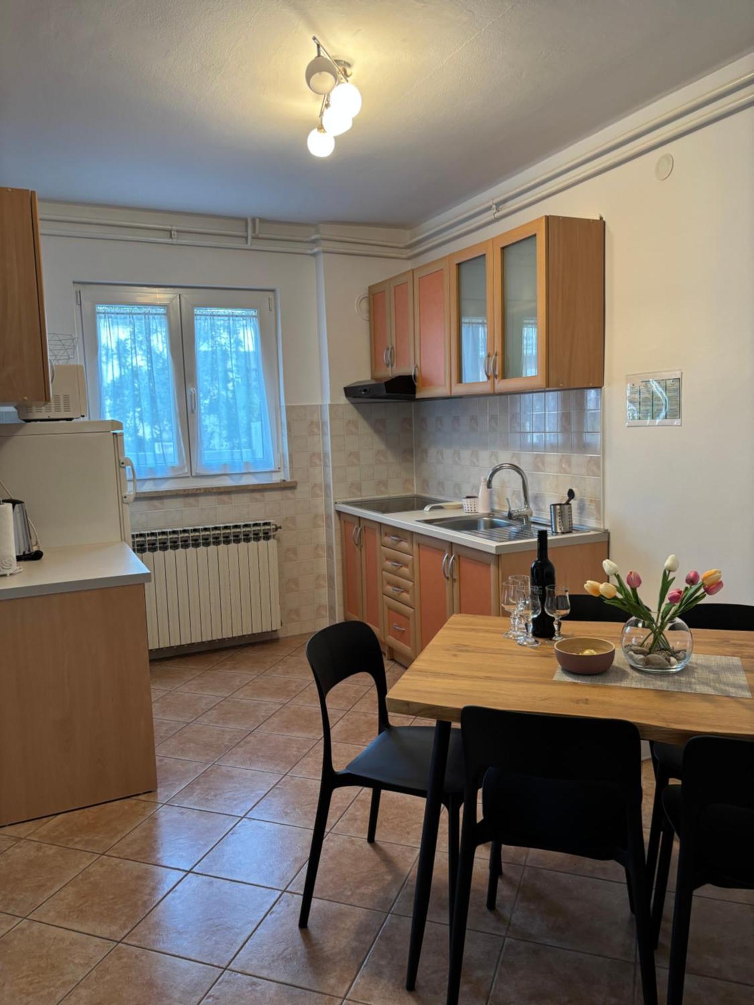 Apartmani Darko ロヴィニ エクステリア 写真
